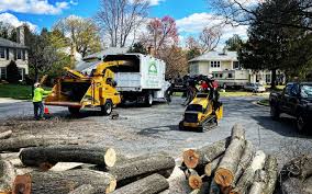 Reliable Boronda, CA  Tree Services Solutions